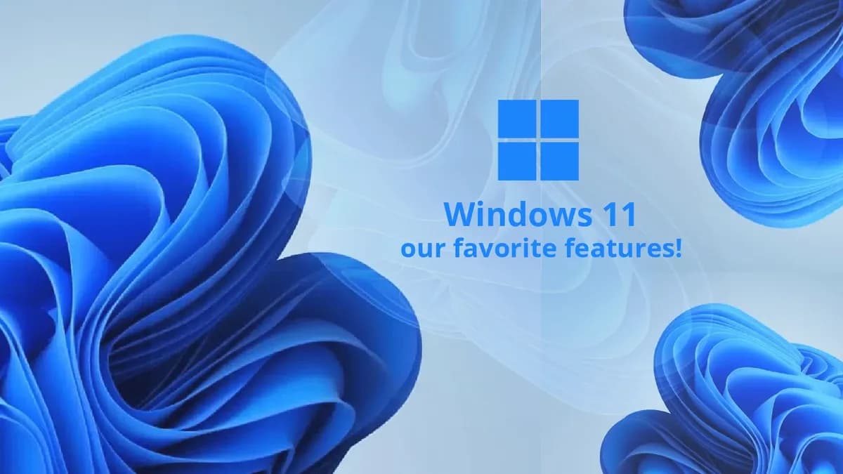 Windows 11 features for business IT management